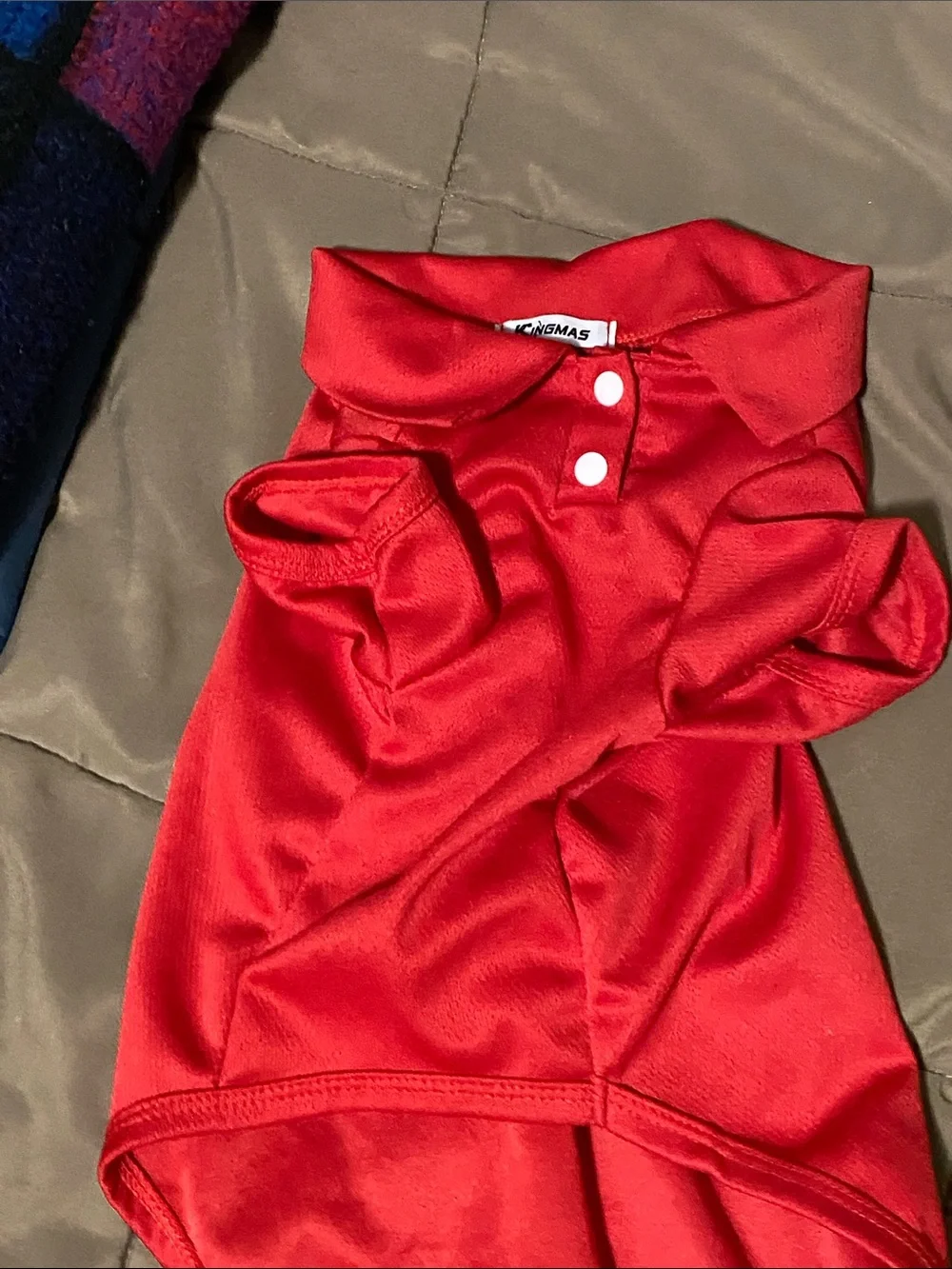 Bright Multi-Color Polo Pet Shirts — Red, Lime, Orange, Blue